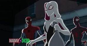 Spider-Gwen! Marvel’s Ultimate Spider-Man vs. The Sinister Six Season 4, Ep. 21 – Clip 1