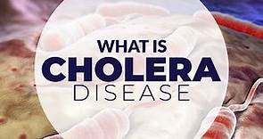 WHAT IS CHOLERA DISEASE