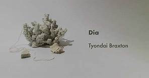Tyondai Braxton - Dia (Official Audio)