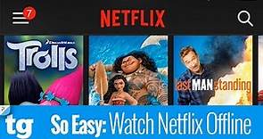 So Easy: How to Watch Netflix Offline