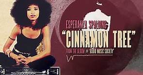 Esperanza Spalding - Cinnamon Tree (Official Visualizer)