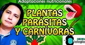 7. Plantas parásitas y carnívoras | Tema: Adaptaciones nutricionales | CONOCE la Biología
