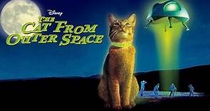 El gato que vino del espacio - Trailer V.O