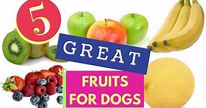 5 Great Fruits For Dogs