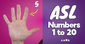 How to Count to 20 in Sign Language | ASL Numbers 1-20 | ASL Counting
