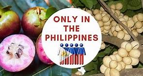 Only in the Philippines ...15 Strangest Fruits you MUST eat!
