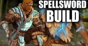Skyrim SE Builds - The Spellsword - Warrior Mage Build