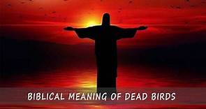 The Biblical Meaning Of Dead Birds - Full Guide To Symbolism & Meaning