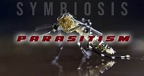 Symbiosis: Parasitism