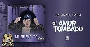 01. Natanael Cano - Amor Tumbado [Official Audio]