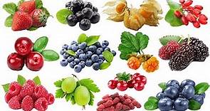 Learn Different Types of Berries Name | Different Types of berries with pictures & names