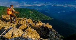 Your guide to Shenandoah National Park: all you need to know about trails, campgrounds, and mountain adventure