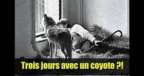 La performance de Joseph Beuys avec un coyote - Comprendre #3