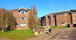 The University of Sussex Full Tour By Bus England United Kingdom #falmer #unisussex #sussexcounty