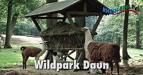 Wild- und Erlebnispark Daun | Rhein-Eifel.TV