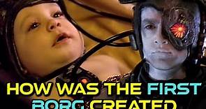 How Was The First Borg Created? Who Made Them? What Is Their Purpose? - Explored
