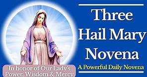 The 3 Hail Mary Novena - A Powerful Daily Novena