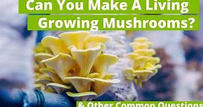 Free Workshop: Starter Guide To Mushroom Farming | GroCycle