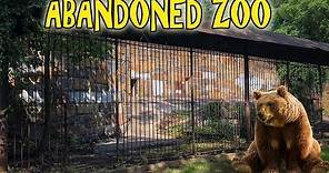 ABANDONED ZOO in BOSTON - Bear Cages Hidden in the Woods