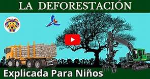 DEFORESTACIÓN | Tala de los árboles | Videos Educativos Para Niños