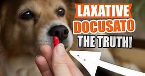 LAXATIVE for DOGS (Sodium Docusate) 🐶and What You Should Know