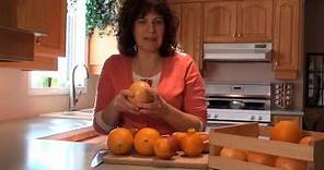 Learn about Common Orange Varieties