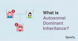 What is Autosomal Dominant Inheritance?