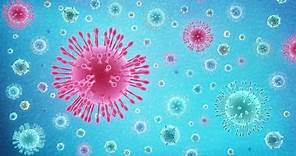 What Is Coronavirus (COVID-19)?