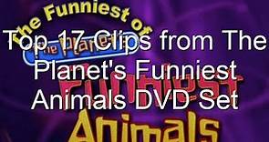 Top 17 Funniest Animal Videos From "The Planet's Funniest Animals" DVD Set