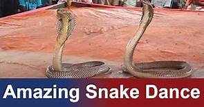 Amazing Snake Dance | Cobra Snake Dancing | Cobra Flute Music Played By Snake Charmer