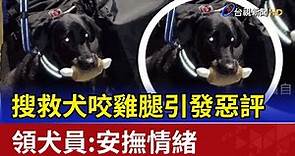 搜救犬咬雞腿引發惡評 領犬員：安撫情緒