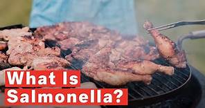 What Is Salmonella? Symptoms And Causes Of The Infectious Disease