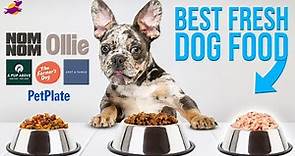 11 Best Fresh Dog Food Brands (in 2022)