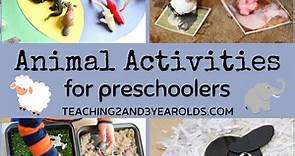 Fun Animal Activities for Preschoolers