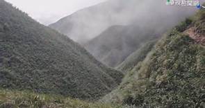 婦登抹茶山失蹤3個月 尋獲半截遺體 - 華視新聞網