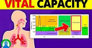 Vital Capacity (VC) | Medical Explainer Video