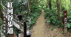 消暑森林浴~烏來．紅河谷步道 (Honghe Valley Trail)