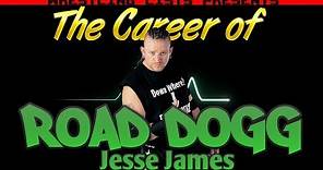 The Career of Road Dogg Jesse James