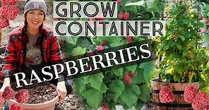 How To Grow Raspberries In Containers