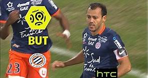 But Vitorino HILTON (48') / Montpellier Hérault SC - AS Monaco (1-2) - / 2016-17
