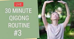 30 Minute Qigong Routine - Qigong Exercises for Beginners