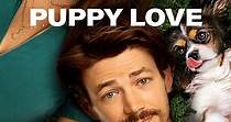 Puppy Love filme - Veja onde assistir online