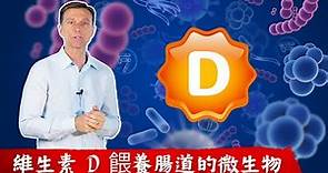 維生素 D 餵養腸道菌群(益生菌),增強免疫力,柏格醫生 Dr Berg