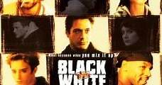 Black & White (1999) Online - Película Completa en Español / Castellano - FULLTV