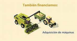 Infografía. Producción de trigo en México