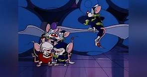 Pinky and the Brain Season 2 Episode 1
