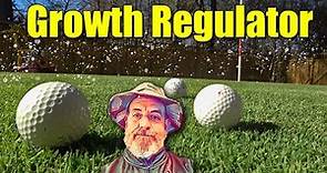 Applying Growth Regulator to Lawns