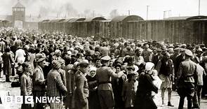 Auschwitz: How death camp became centre of Nazi Holocaust