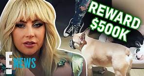 Lady Gaga Offers $500K Reward for Stolen Dogs | E! News