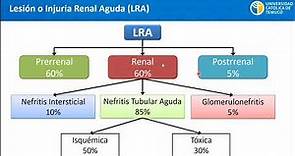 Función Renal - 4. Lesión renal aguda (LRA) y Enfermedad Renal Crónica (ERC)